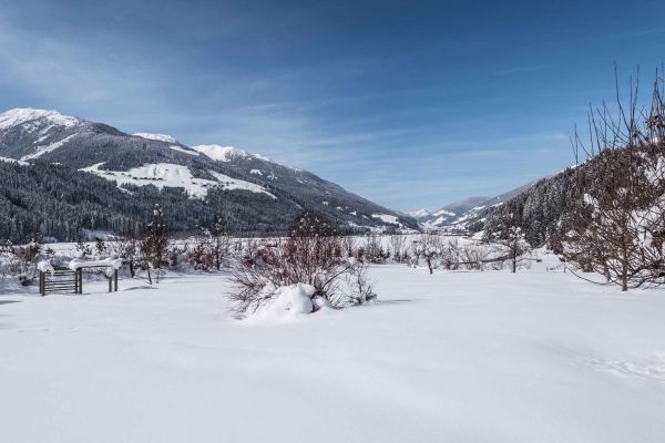 Strasserwirt Herrenansitz zu Tirol (Strassen)